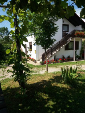  Apartment Manda  Раковица
